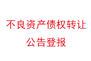 不良資產(chǎn)債權(quán)轉(zhuǎn)讓公告登報找我要登報網(wǎng)