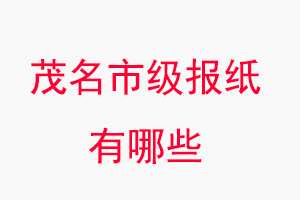 茂名報(bào)紙有哪些，茂名市級(jí)報(bào)紙有哪些找我要登報(bào)網(wǎng)